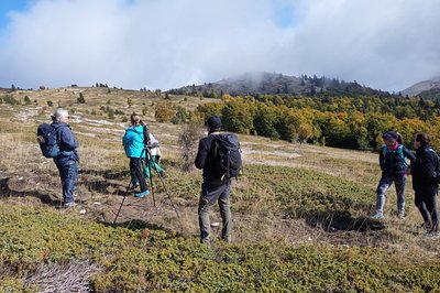 Randonnée accompagnée sur Lure