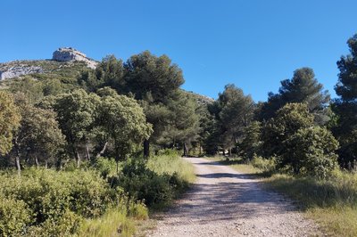 Chemin de Pied Caud