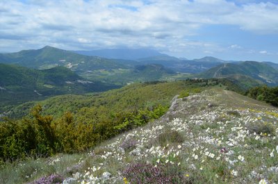 Les Pelouses sèches de la Montagne de Chamouse