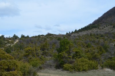 En contrebas de la montagne de Baume Noire