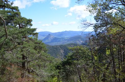 Montagne du Risou