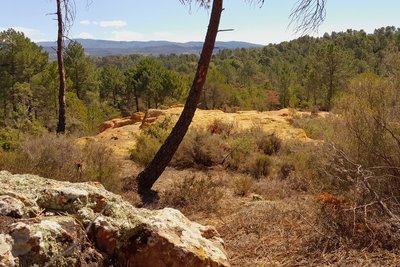 Dalle de Pied-Bousquet
