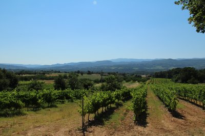 Coteaux de Perrotet