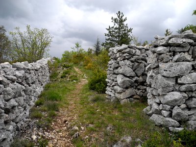 Mur de la Peste