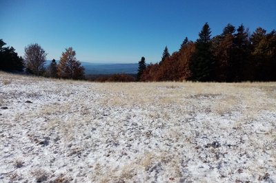 Forêt de Lure en début d'hiver