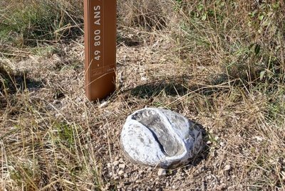 Sur les premières traces