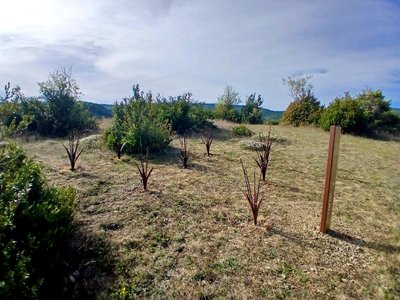 Du nomadisme aux premiers paysages cultivés