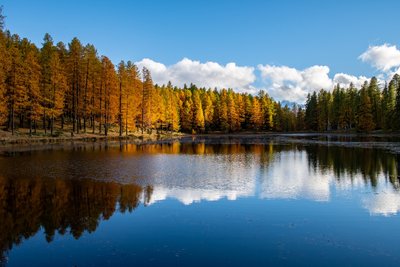 Lac de Roue en automne