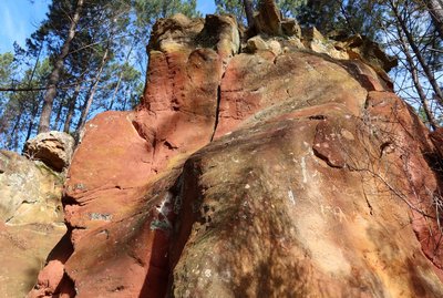 Ocres en bordure du chemin
