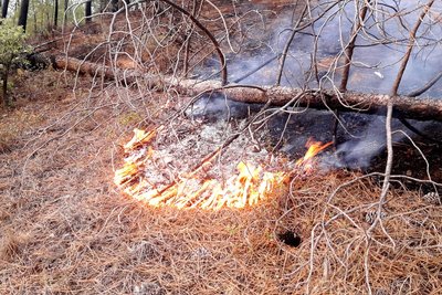 Reprise de feu sur La Gardette (2019)
