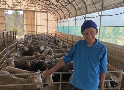 Roger JOUVE, berger du Petit Luberon