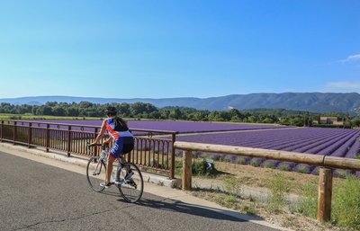 Via Domitia aujourd'hui Véloroute