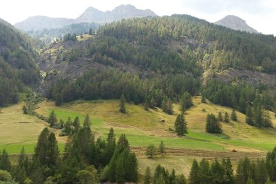 Prairie de fauche de Saint-Véran