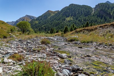 Torrent de l'Aigue Agnelle