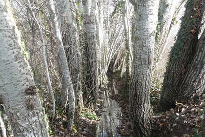 Ruisseau du Pradaresque