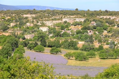 Buoux, vallon de la Loube et Petit Luberon au loin