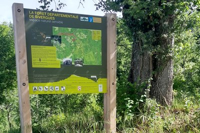 Forêt départementale de Sivergues