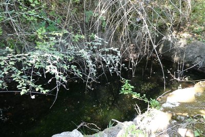 Source de Plaine Lambertes