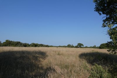 Pré des Masques