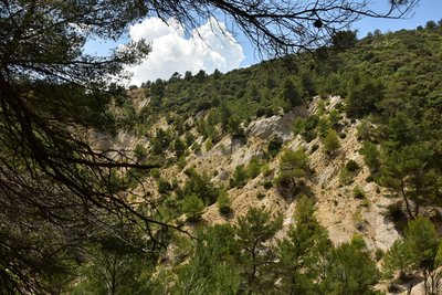 Les terres jaunes de Volx
