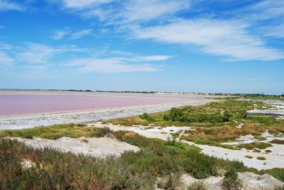 Les salins de Giraud