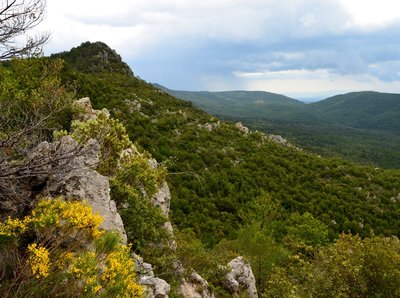 Les collines du haut Var