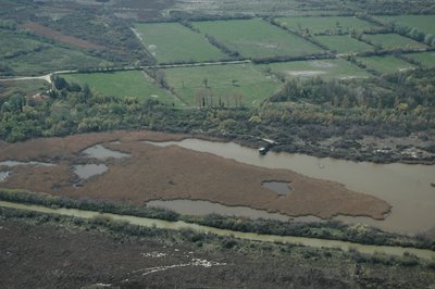 Réserve naturelle régionale de la Tour du Valat
