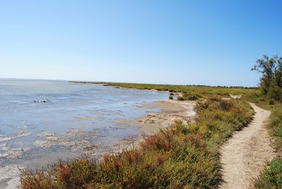 Étang de l'Impérial 
