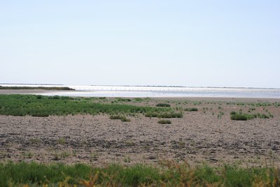 Au loin, l'étang du Malagroy et le bois des Rièges