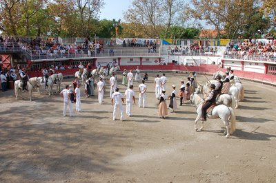 Arènes de Salin-de-Giraud