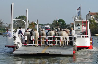 Bac du Sauvage
