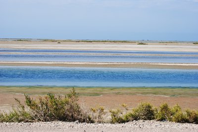 Lagune