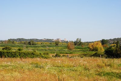 Au loin, l'abbaye de Montmajour