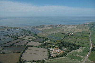 Grand Romieu, Mas Saint-Germain et Vaccarès