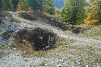 Dolines