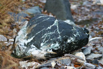 Serpentine