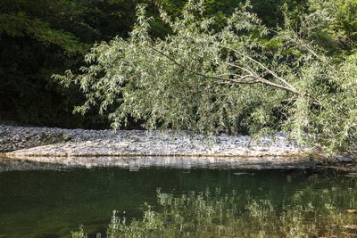 Eau calme dans le pays de Forcalquier