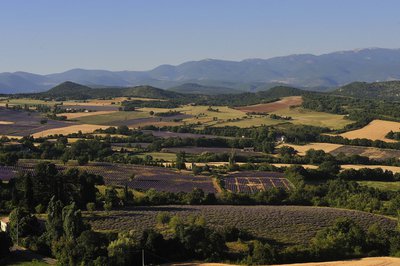 Montagne de Lure