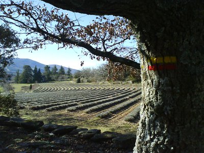 Sur le GRP® ''Tour des Claparèdes''