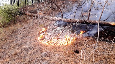 Reprise de feu