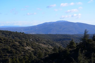 Le Grand Luberon depuis le sentier du Portalas