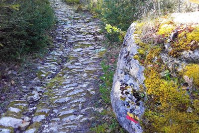 Calade de l'ubac des Perrins