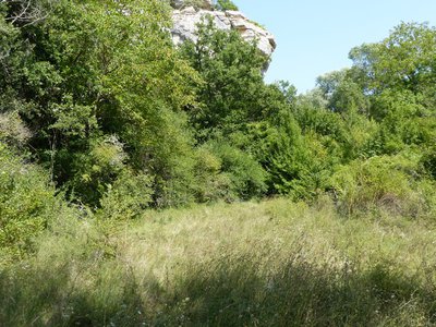 Prairie à l'abandon