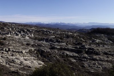 Les Alpes depuis les Mourres
