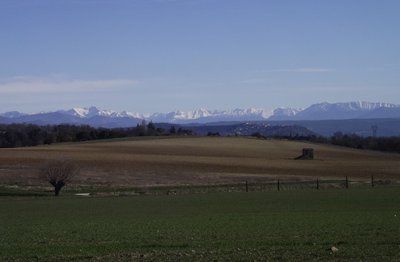 Vue sur les Alpes