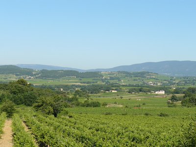 Paysage du Pays d'Aigues