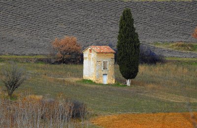Cyprès et si loin ce cabanon