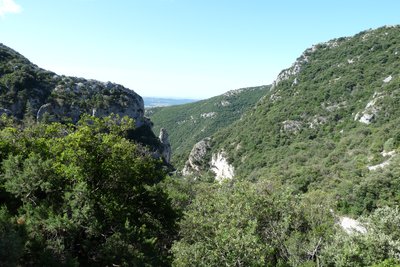 Forêts et rochers du Petit Luberon