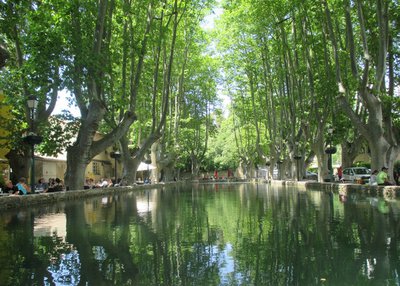 Bassin de l'Etang de Cucuron
