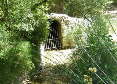 La source du Mirail